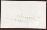 Marsha Mason Signed Index Card Signature Vintage Autographed AUTO 