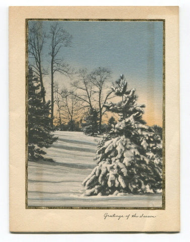 Alice Faye Original Vintage Christmas Card Circa 1960's Xmas Greeting Card