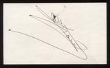 Jane Powell Signed Index Card 3x5 Signature Autographed AUTO 